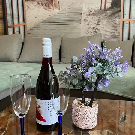 Levendula Hébergement de vacances Hajdúnánás