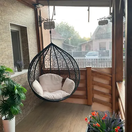 Levendula Vendeghaz Hajdúnánás