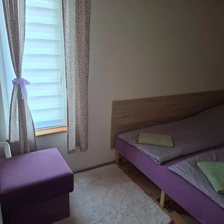 Levendula Vendeghaz Hajdúnánás