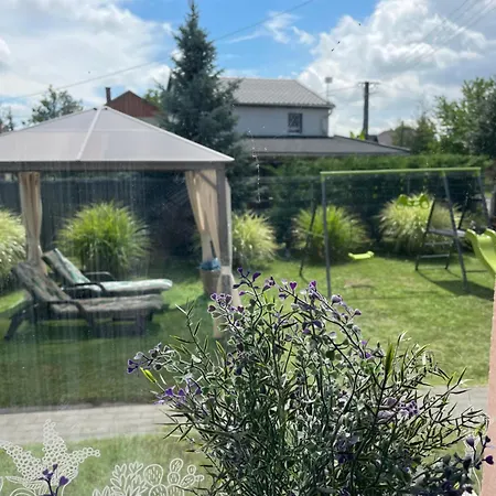 Levendula Vendeghaz Hajdúnánás